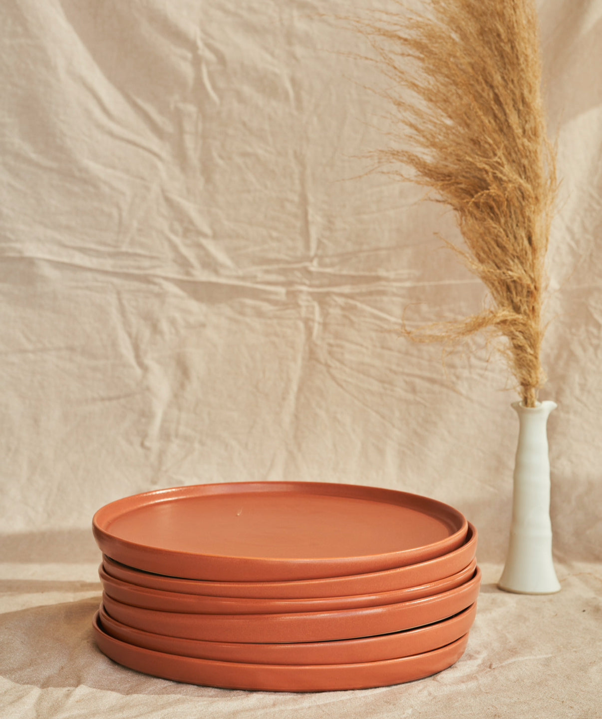 Semplice Large Dining Plate (6 Piece Set)